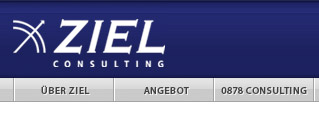 zielconsulting